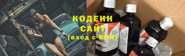 мдпв Бородино