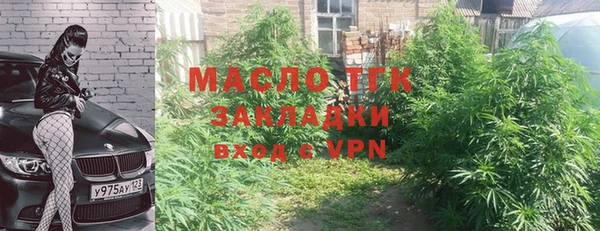 мдпв Бородино