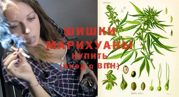 молекула духа Бронницы