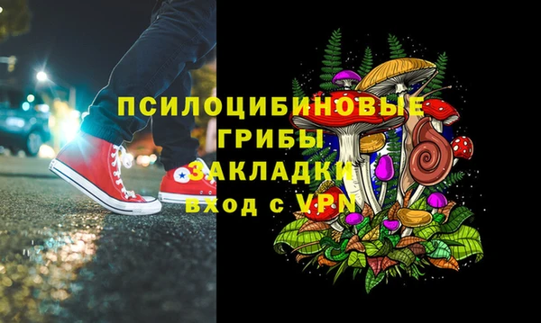 мдпв Бородино