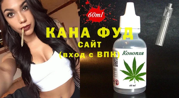 мдпв Бородино