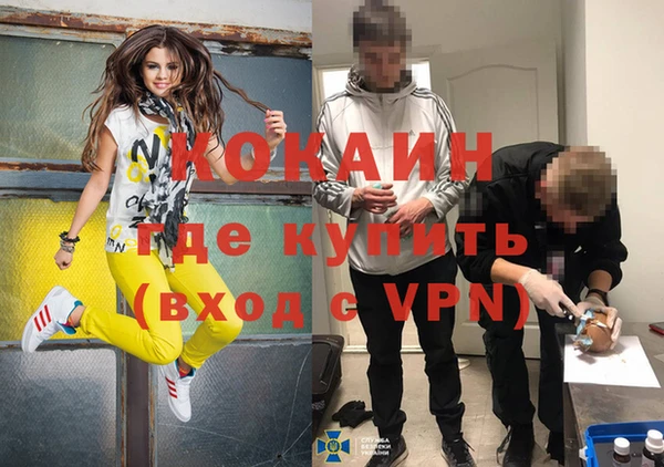 молекула духа Бронницы